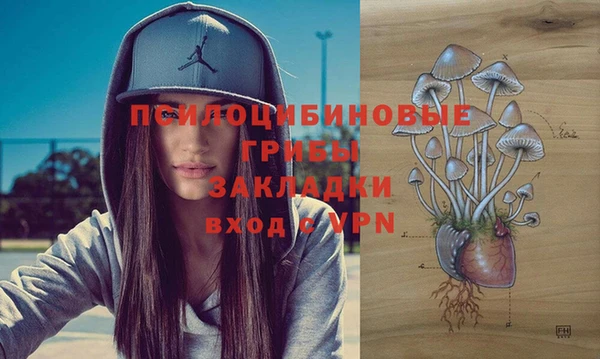дурь Бронницы