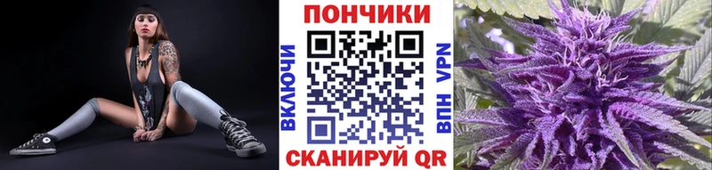 Марихуана планчик  сколько стоит  mega зеркало  Гаджиево 